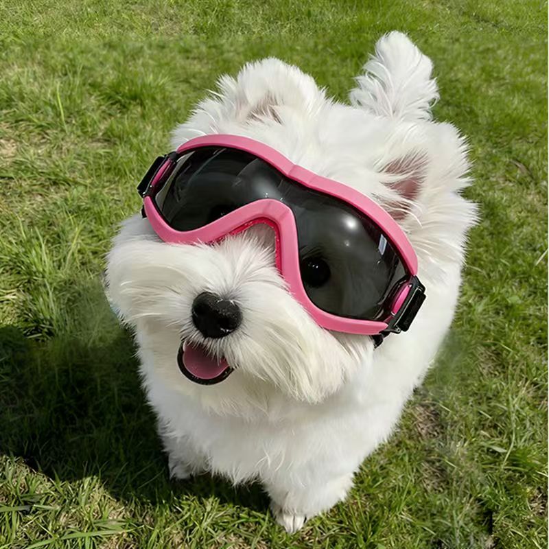 Dog Goggles for Small Medium D - Sunglass Retainer Cord recension och pris