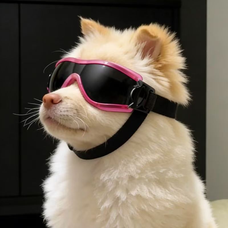 Dog Goggles for Small Medium D - Sunglass Retainer Cord recension och pris
